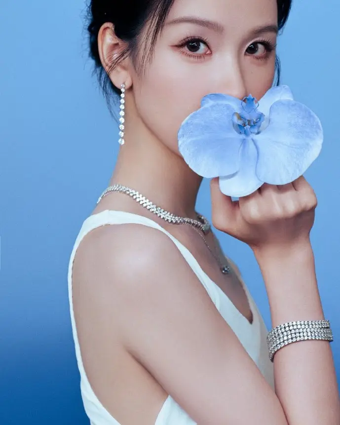 网络下载数据可视化图表