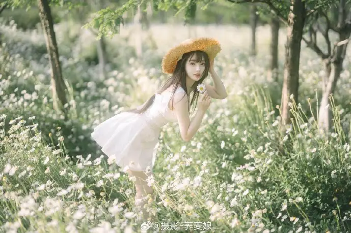 微博用户增长趋势